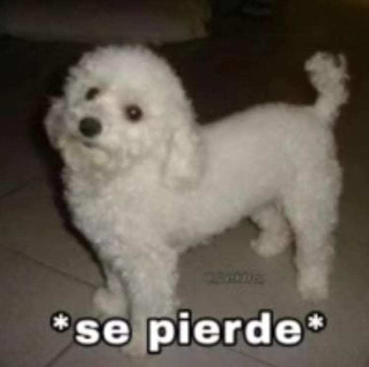Titulo